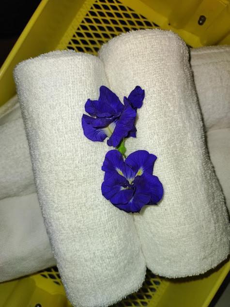 Canaan Beauty Farm B&B Csengkung Kültér fotó