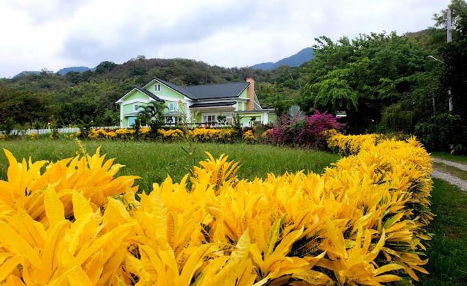 Canaan Beauty Farm B&B Csengkung Kültér fotó